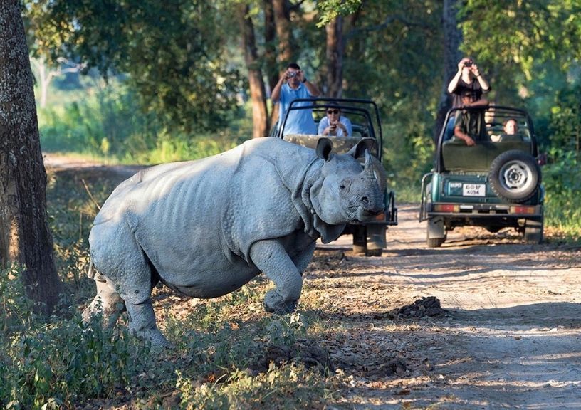 difference between national park and wildlife sanctuary