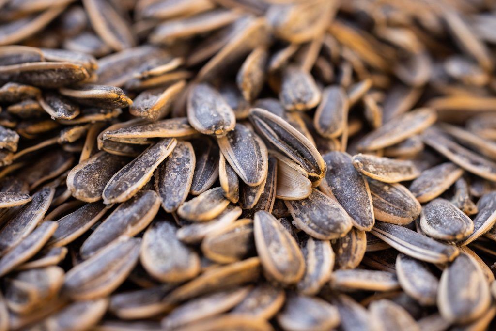 Best seeds for weight loss