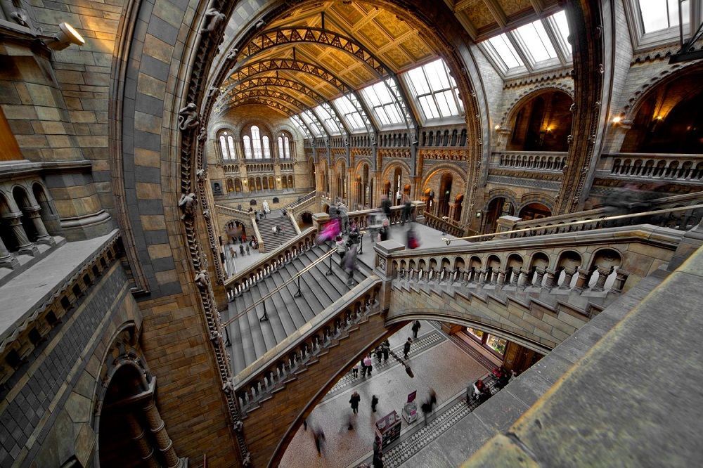 National History Museum Things to do in London during winter