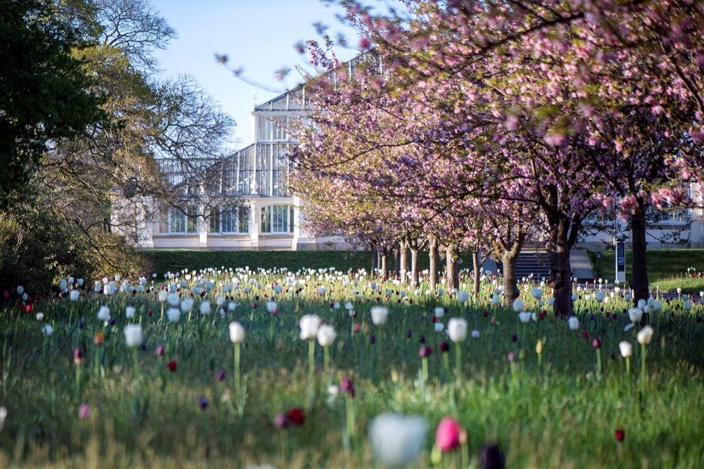 Kew Gardens