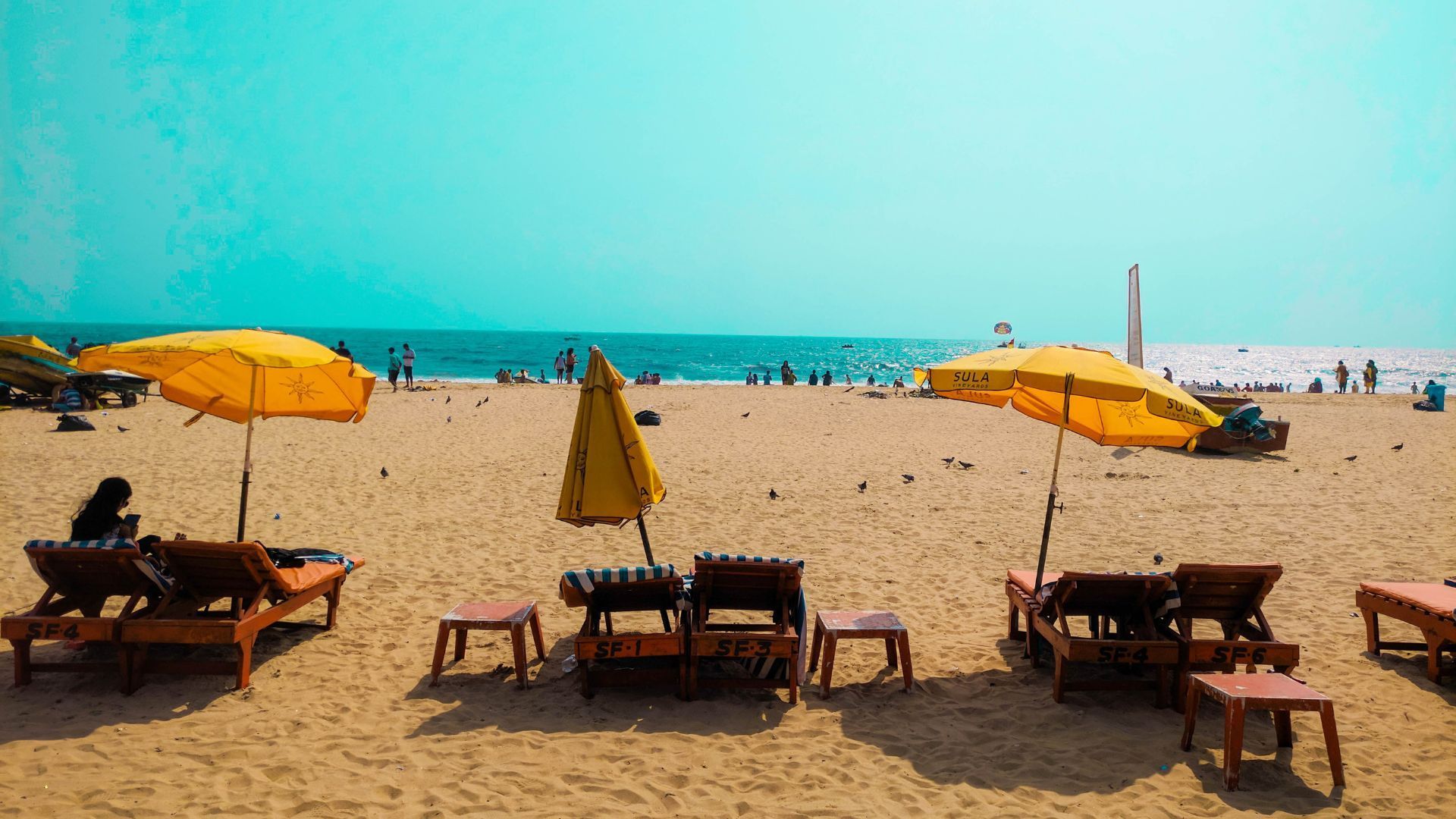 goa travel guide