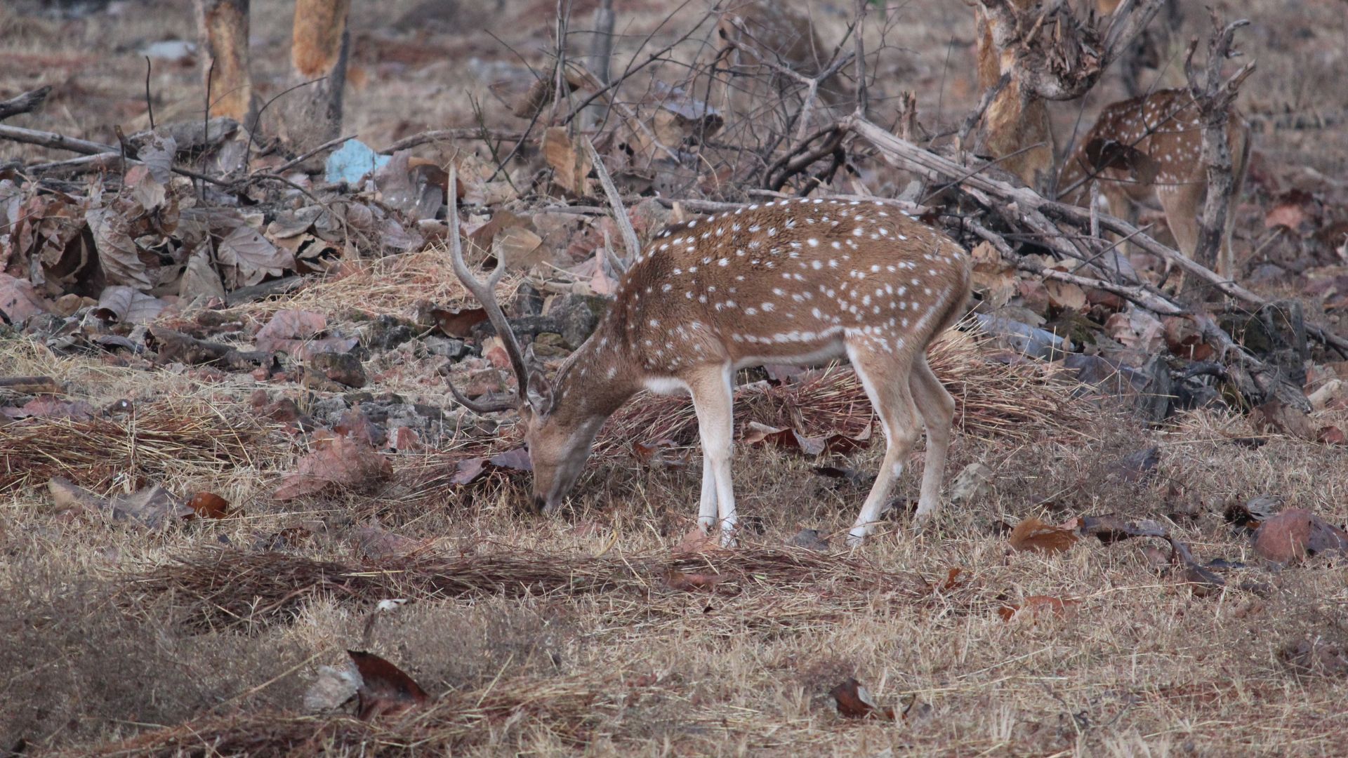 Best places in December in India