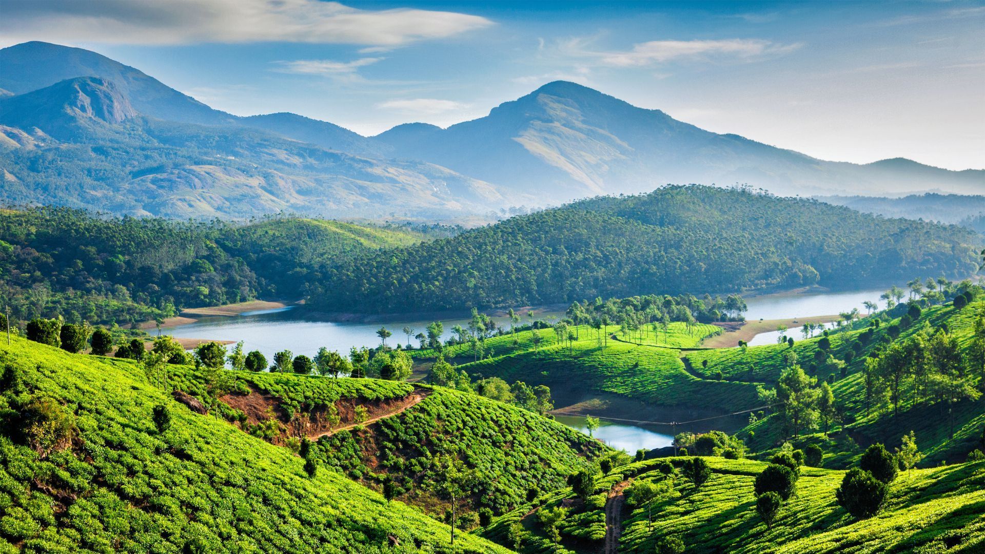 Places to visit in Munnar