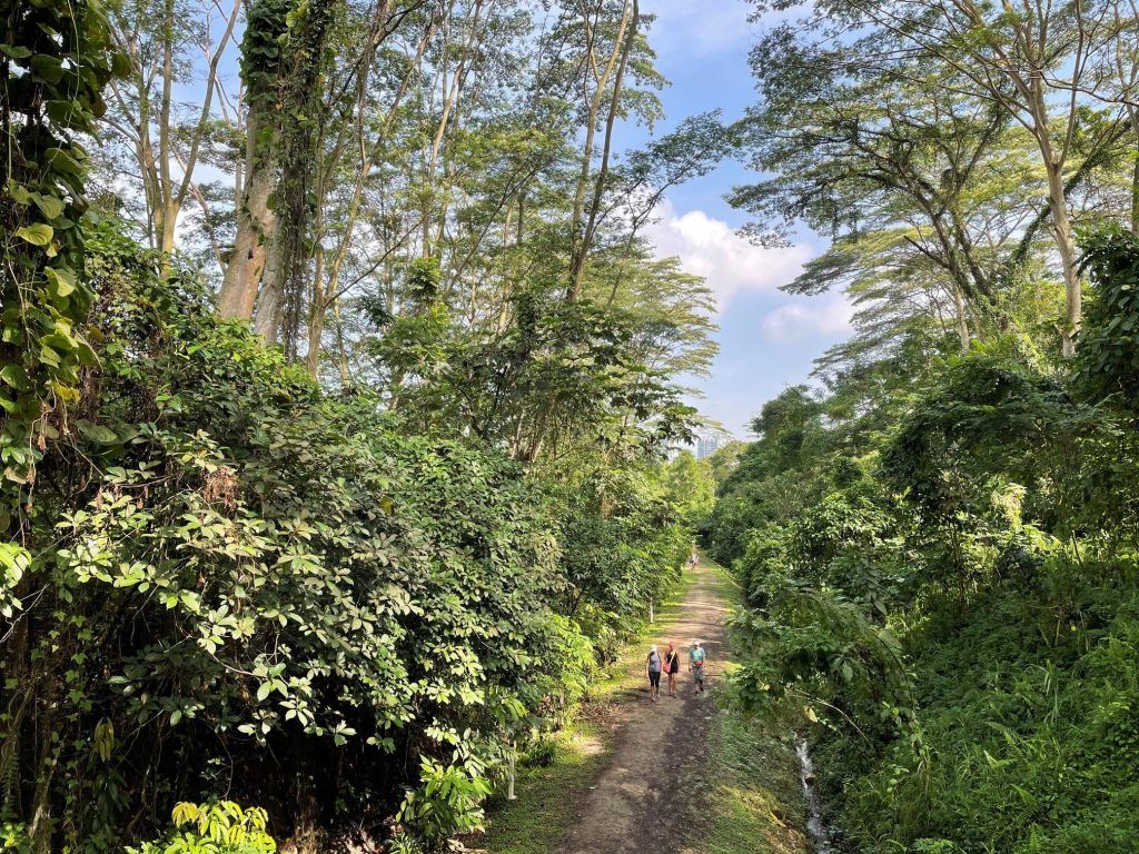 These hiking trails offer good food stops