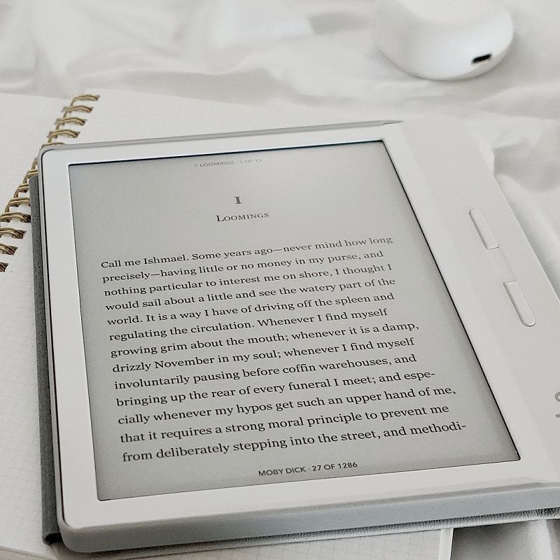 The most popular ebooks of 2022 for the bookworm in you