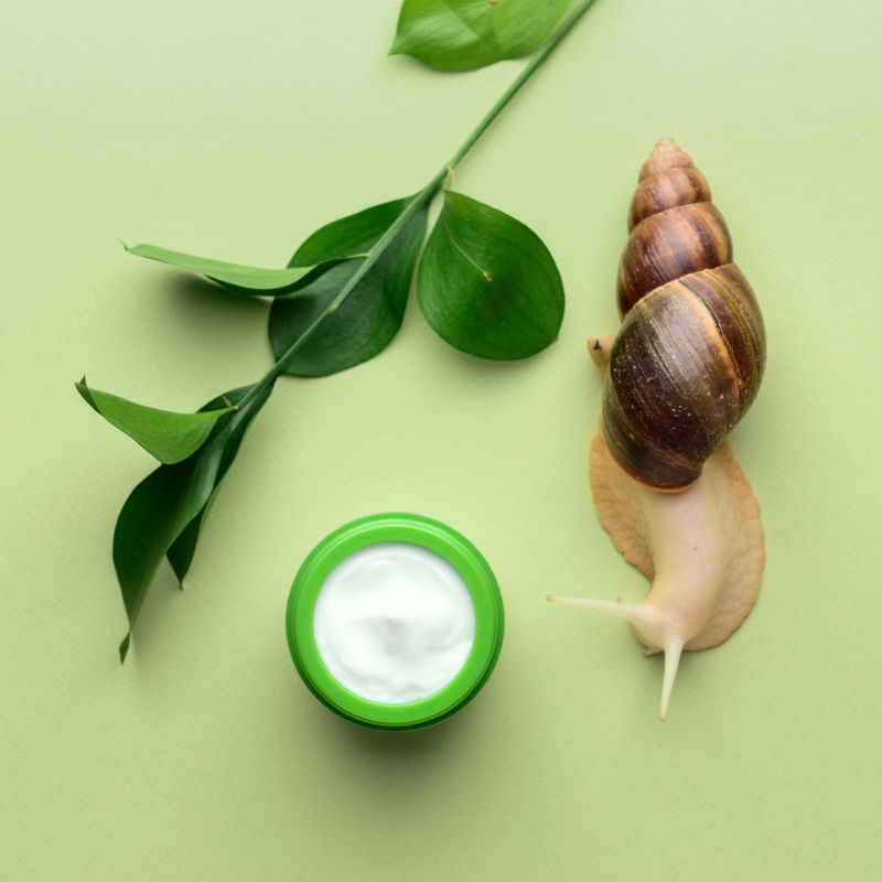 If you have dry skin, consider adding snail mucin into your beauty routine