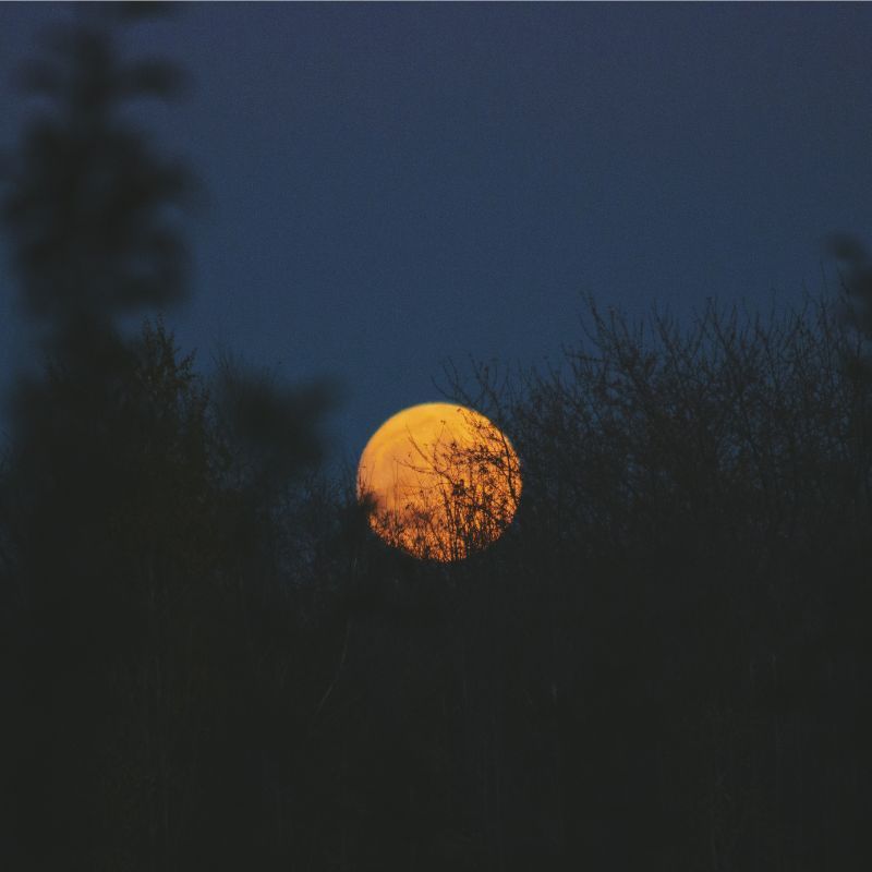 All about flower moon 2023 — what it is and how it affects the zodiacs