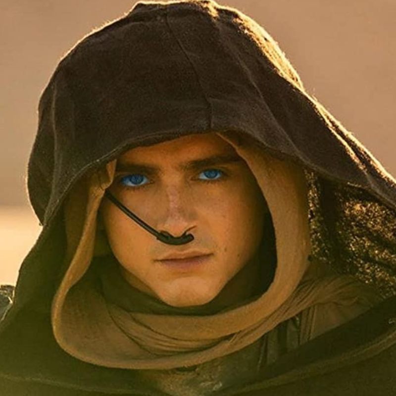 ‘Dune: Part Two’ trailer: The Plot, cast and more