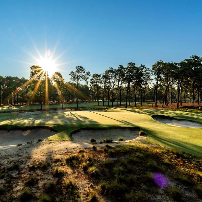 2024 US Open (Golf) Players, schedule, prize money, venue and more