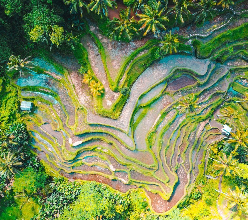 Everything you need to know about Indonesia’s new Golden Visa