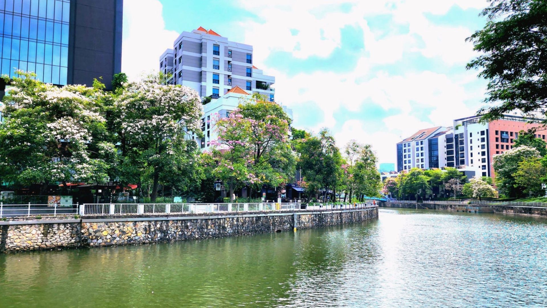 Flowers bloom in singapore