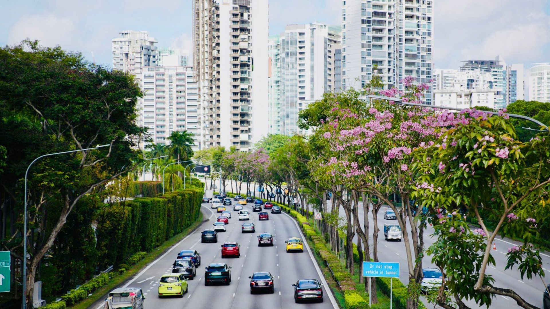 Flowers bloom in singapore