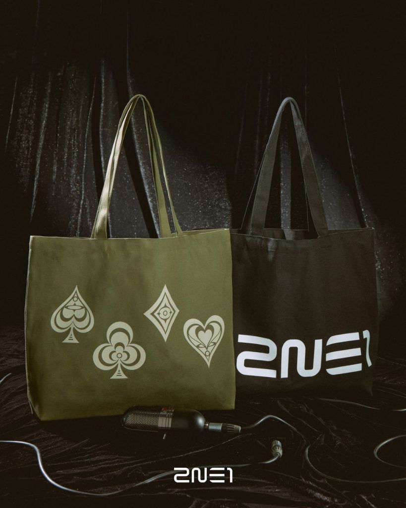 2NE1 and MUSINSA collaborate on exclusive concert merchandise