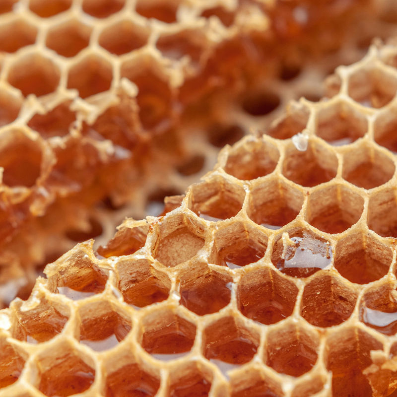 Propolis Def What is Propolis and why is it all the rage right now? - PrestigeOnline SG