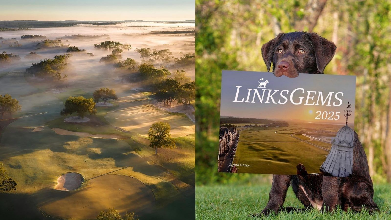 The best golf accounts to follow on Instagram – PrestigeOnline Singapore