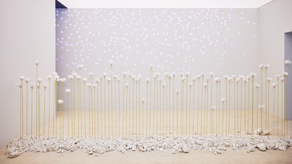 Sparks-of-Roses-Maison-Francis