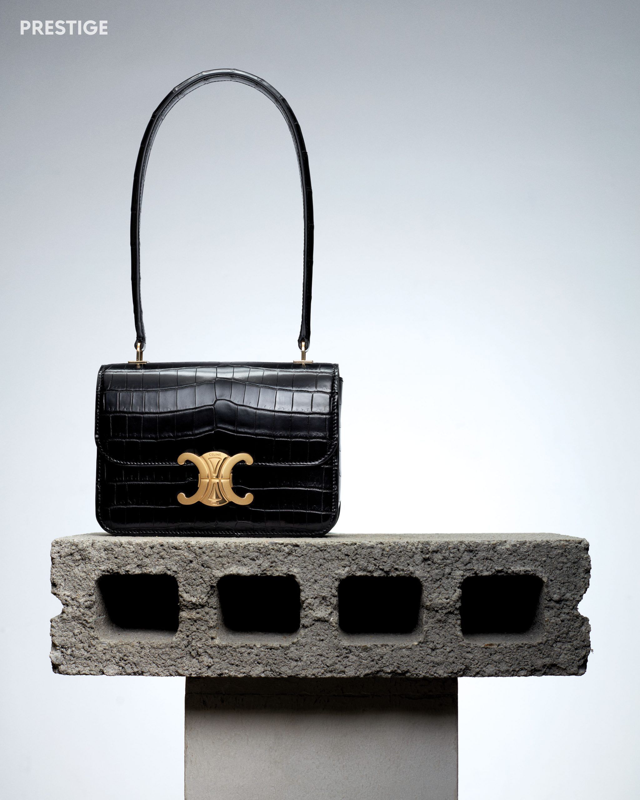 The Exotic Bags At ION Orchard's New Celine Boutique