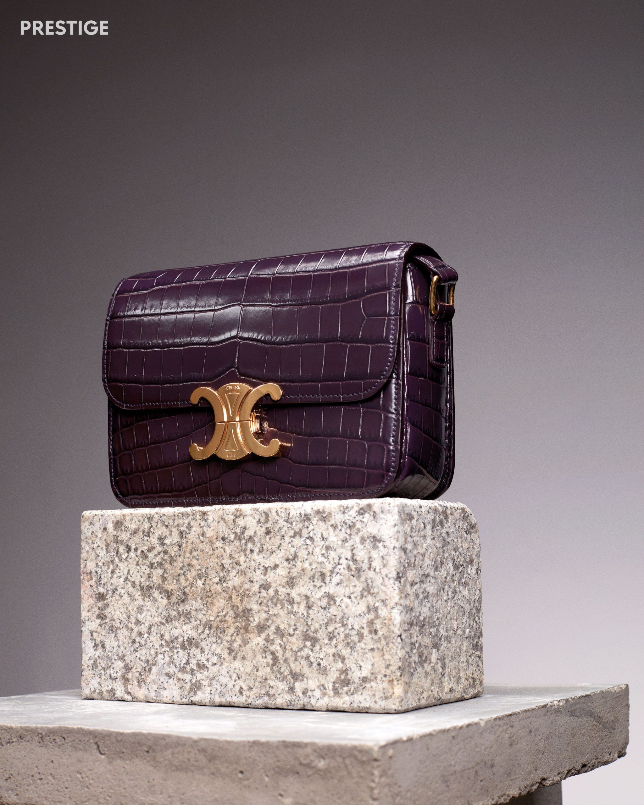 Celine バッグ The Exotic Bags At ION Orchard's New Celine Boutique