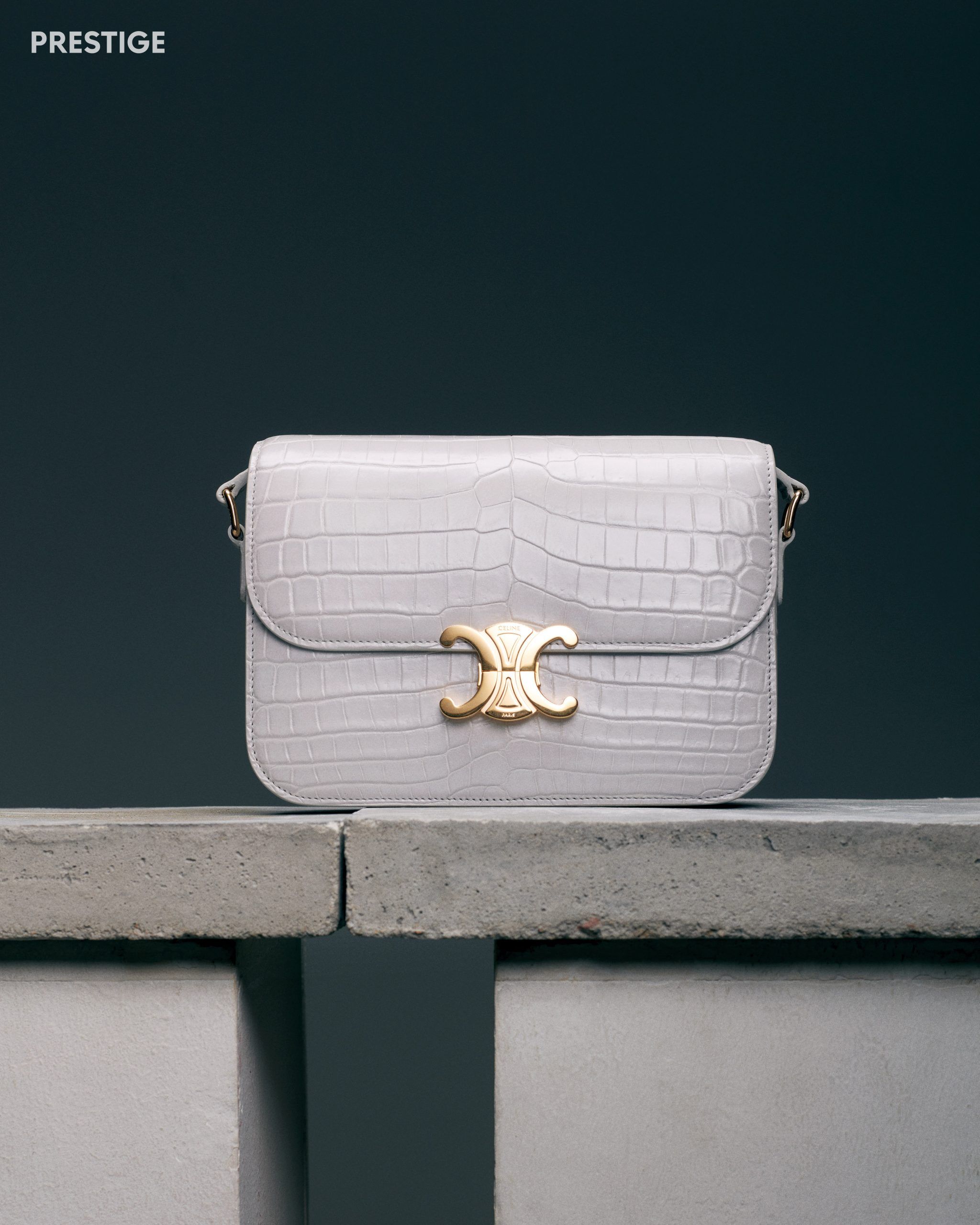 The Exotic Bags At ION Orchard's New Celine Boutique