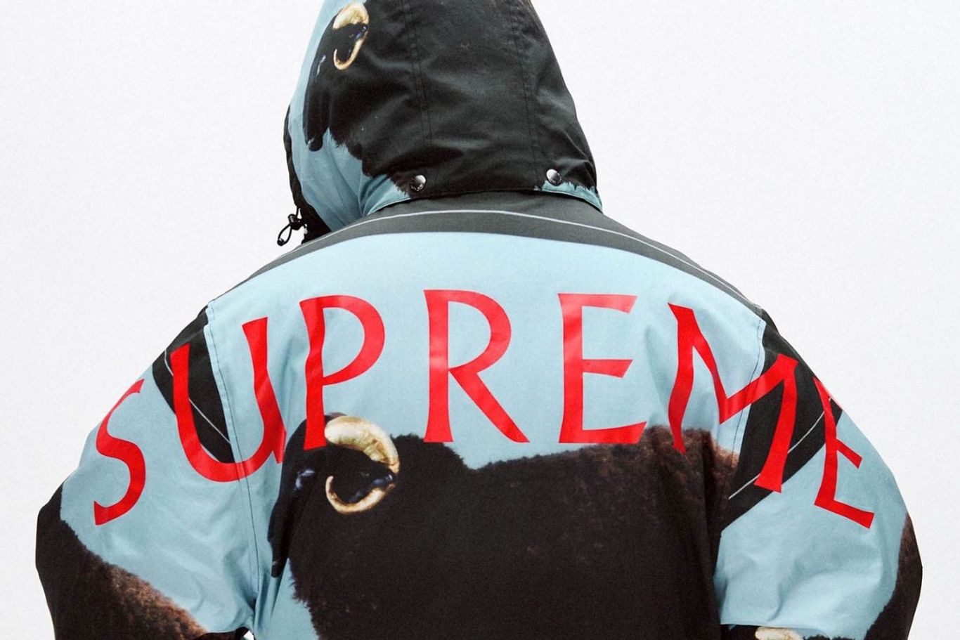 Our favourite items from the Supreme SS25 collection – PrestigeOnline SG
