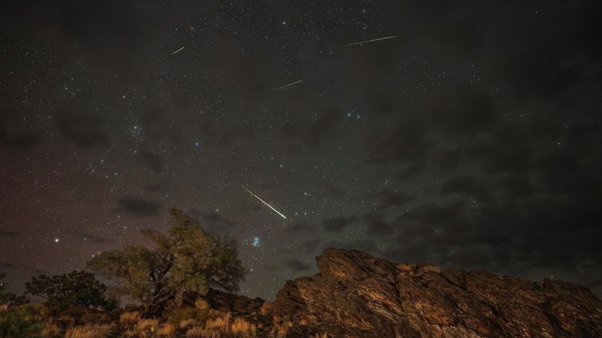 Delta Aquariid Meteor Shower in Singapore: How to watch – PrestigeOnline  Singapore