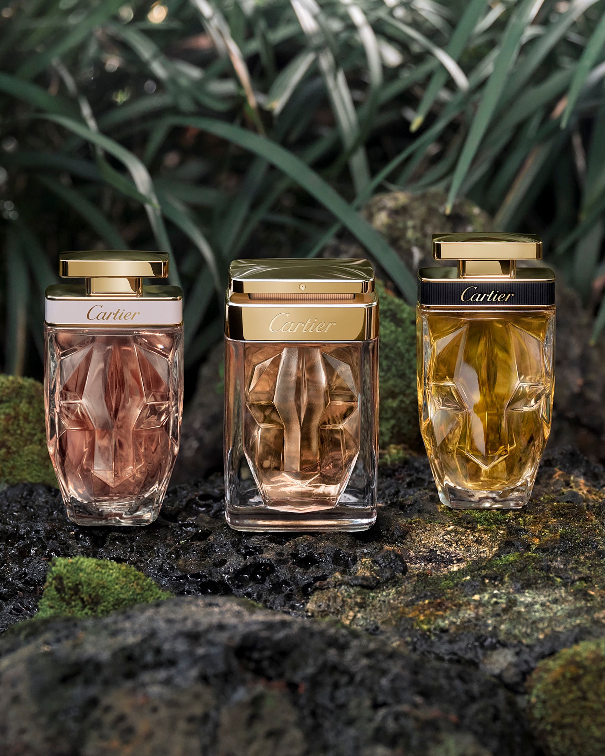 A century of invisible jewels: Cartier's scented legacy for