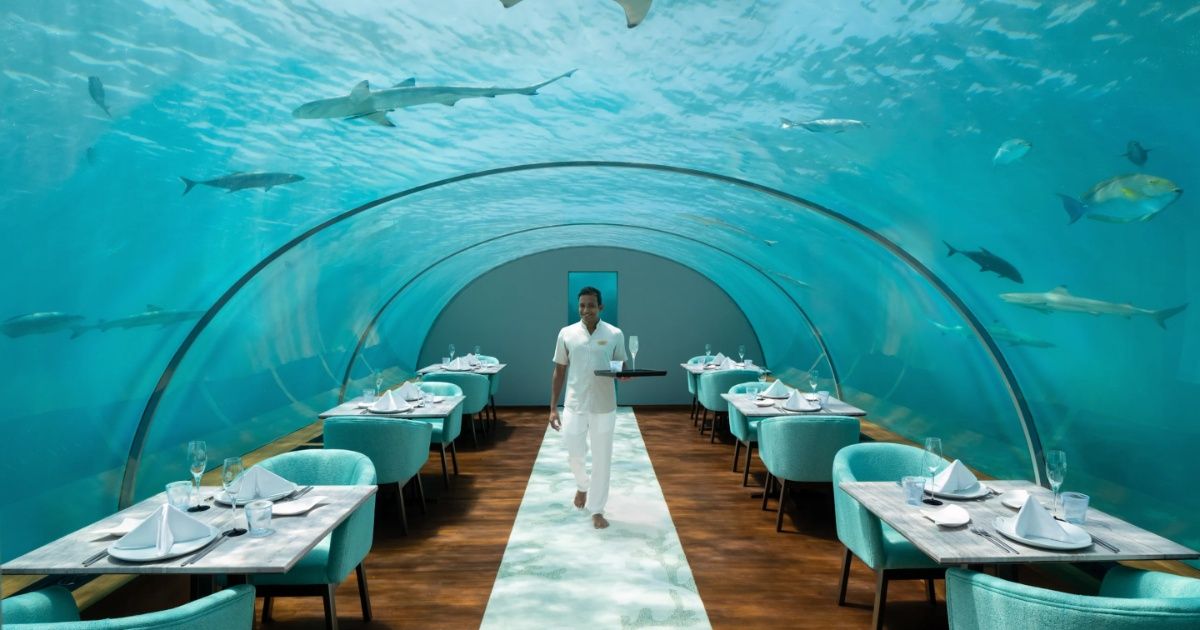 6 underwater restaurants that make ordinary dining look embarrassingly basic