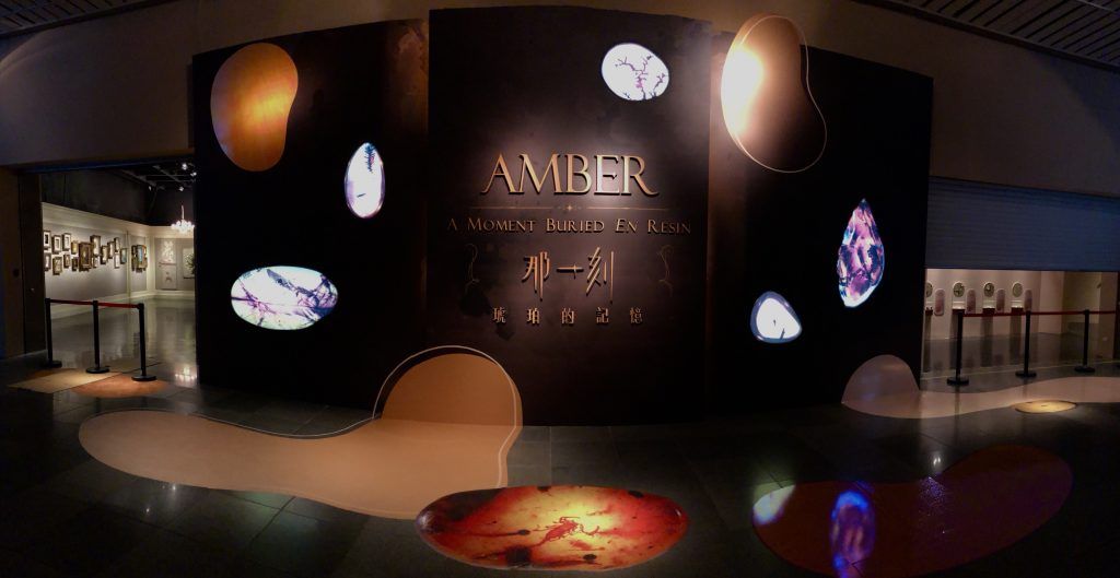 時間的理性與感性 |Be Frozen In Amber