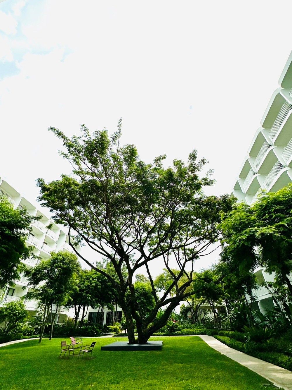 華欣The Standard 酒店與住宅隸屬於泰國上市開發商Sansiri 尚思瑞集團,是泰國3大物業開發商之一,2023 年甫當選的泰國新任總理賽塔.塔維辛上任前為Sansiri 尚思瑞集團前總裁。集團自1984 年創立以來跨足飯店、媒體、住宅租賃管理等產業。2023 年推出的52 個新項目,總價值超過22 億美元,除了品牌 The Standard,尚思瑞集團亦擁有英國Monocle 媒體集團的股份,根據香港經濟通的報導,未來會用《Monocle》作品牌興建豪宅,並考慮在日本、瑞士和葡萄牙建造Monocle 品牌的住宅,相當有意思!