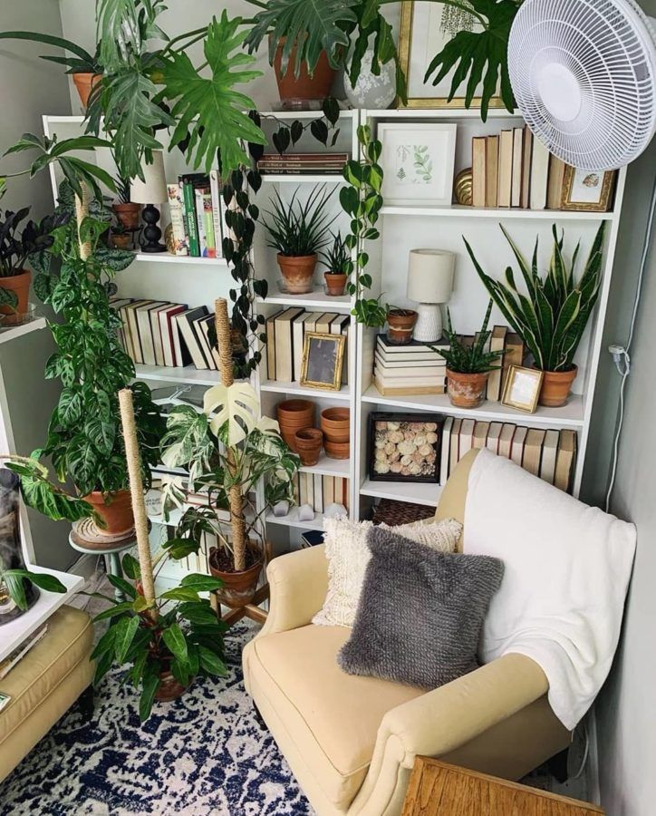 4 Instagram Accounts To Follow If You Absolutely Adore Plants