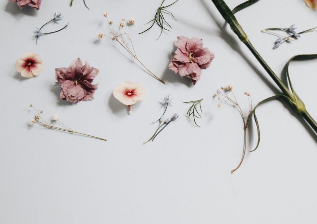 Fragrance Talk: 5 Scents for a Lush and Lively Summer