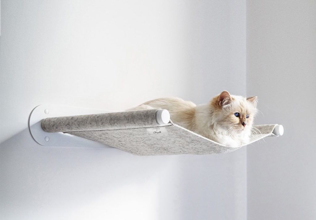 Furry Influencers: Are Pets the Future of Social Media Marketing?