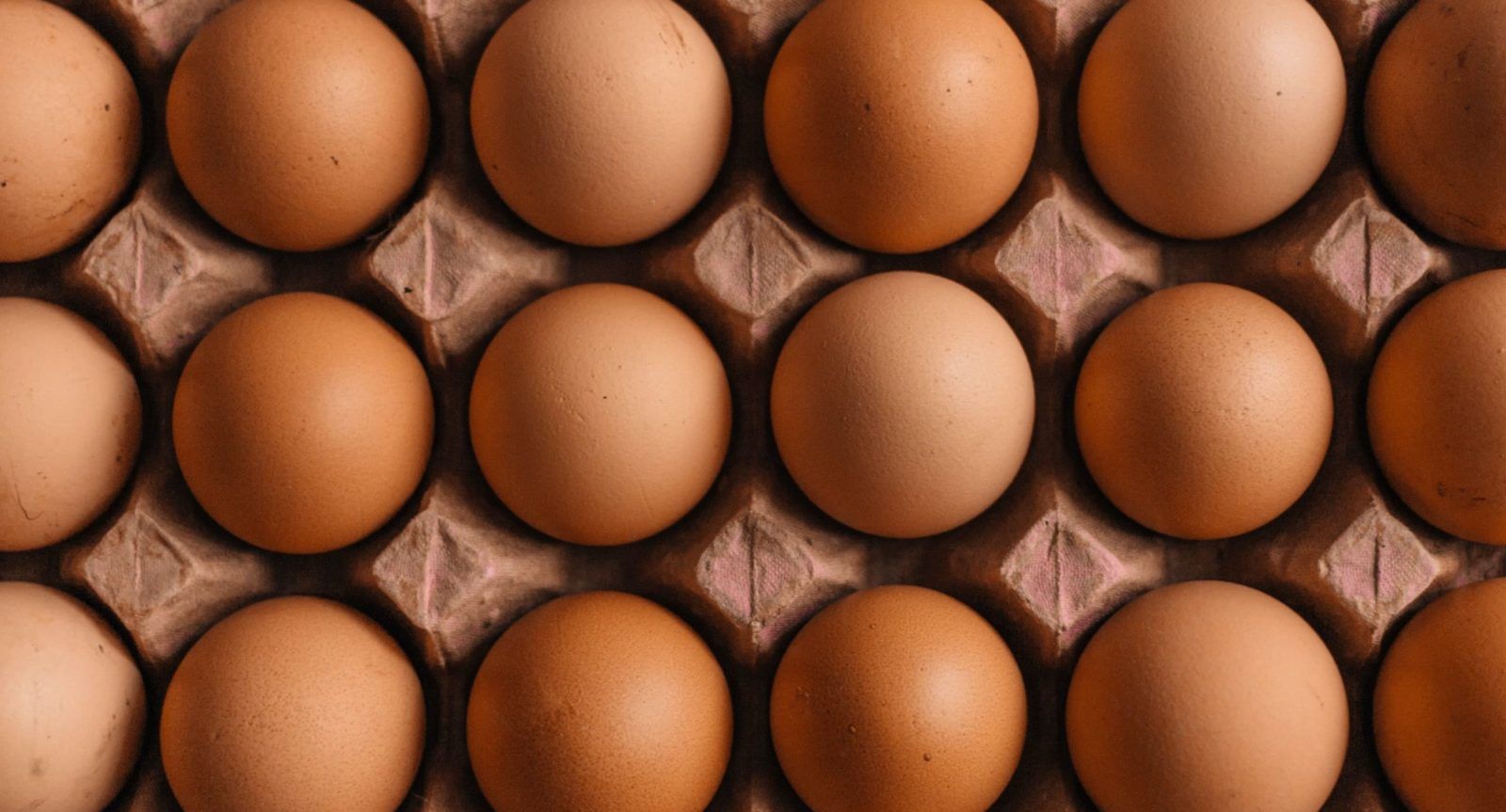 Plant-Based Meat Can Step Aside — Vegan Eggs Have Arrived