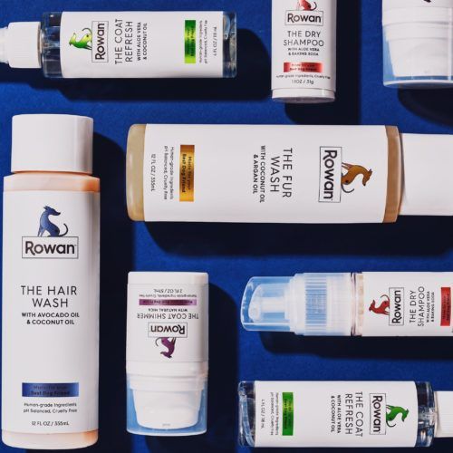 Rowan Launches 'Clean' Beauty Products for Dogs