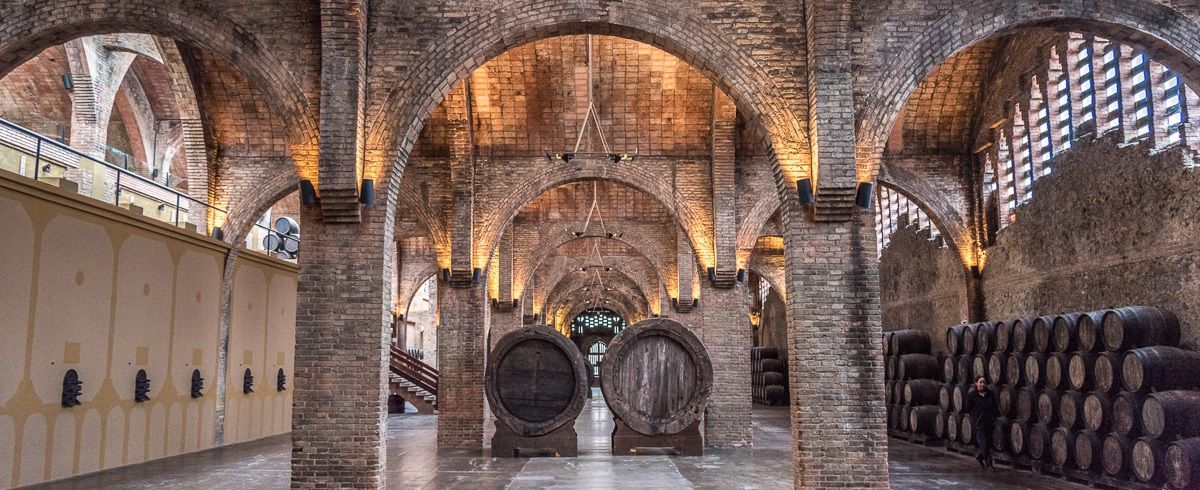 Discover the World’s Oldest Wineries and Vineyards