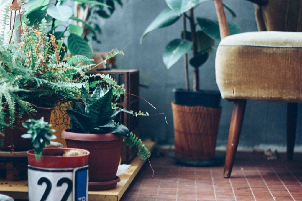 Plant Parents Gather Around, These Gardening Apps are Your Answers to Horticulture