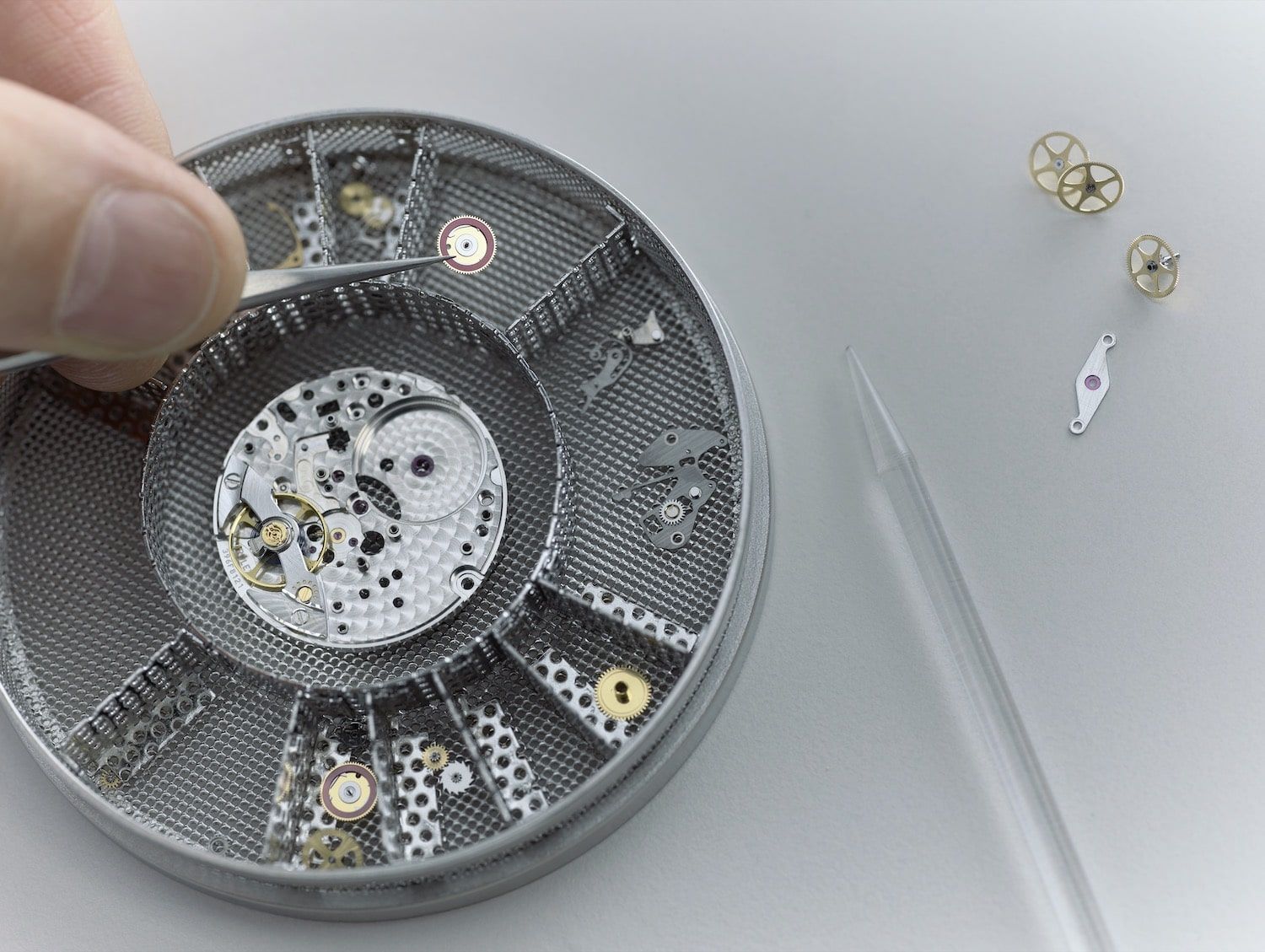 Exploring Inside Procedures of Rolex World Service