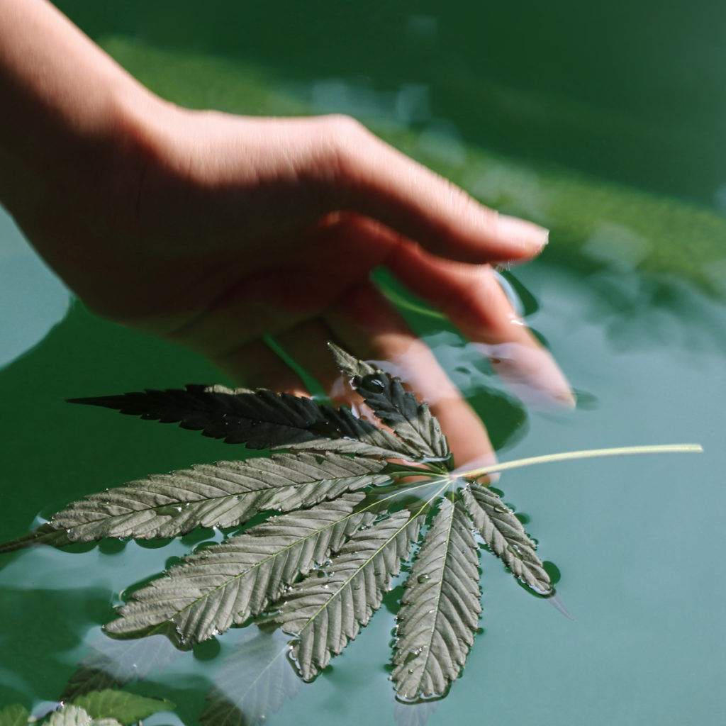 3 Steps to De-stress Your Body, Soul and Mind with Panpuri’s Cannabis Wellness Experience