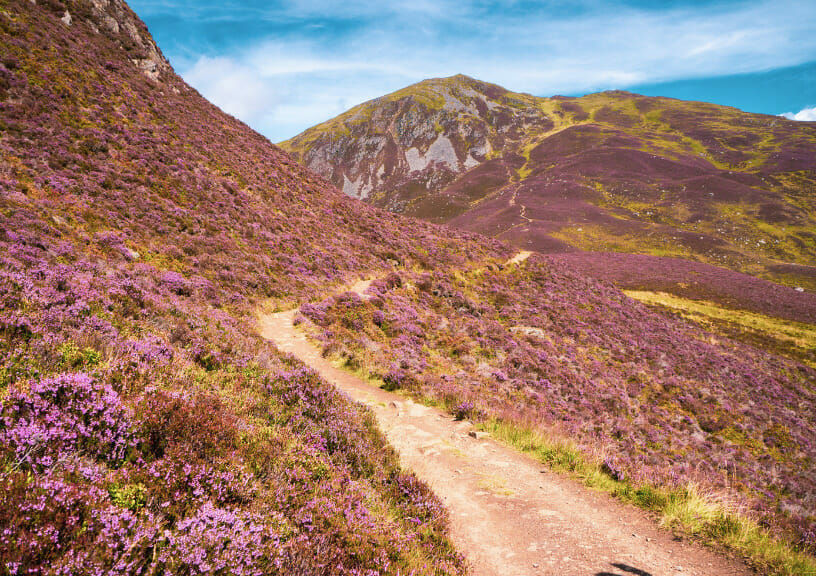filming locations of new james bond movie "No Time To Die" - The vibrant Cairngorms