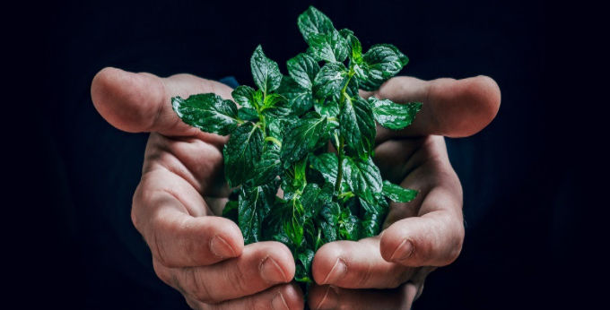 What Is Eco-anxiety and Do You Have It?