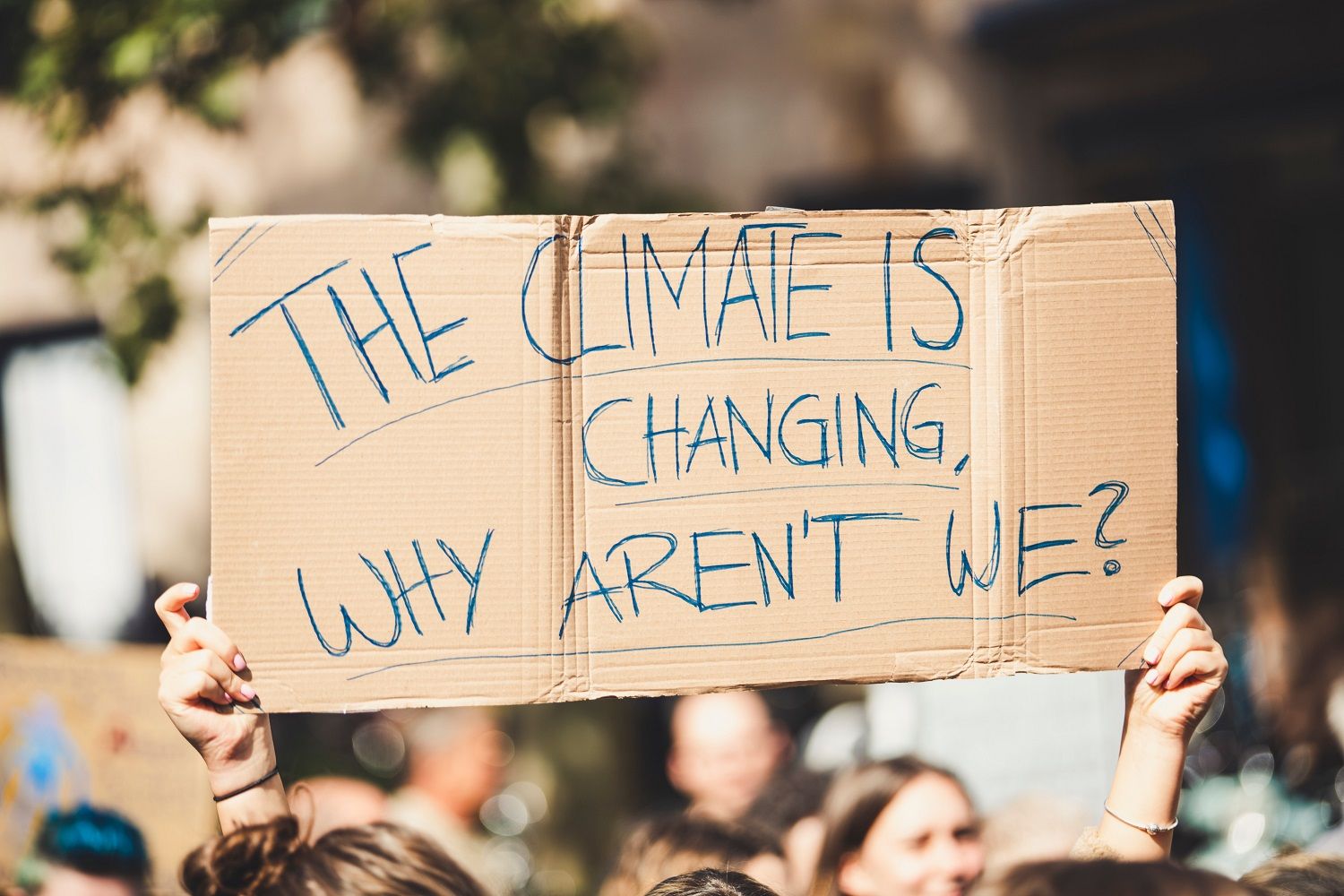 What other factors have contributed to eco-anxiety?