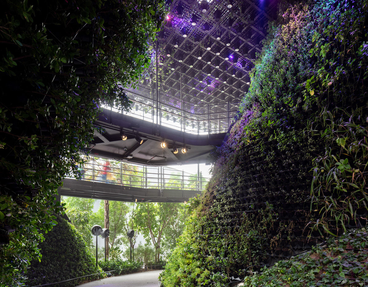 The Green Arch Belgian Pavilion Expo 2020 Dubai / Vincent