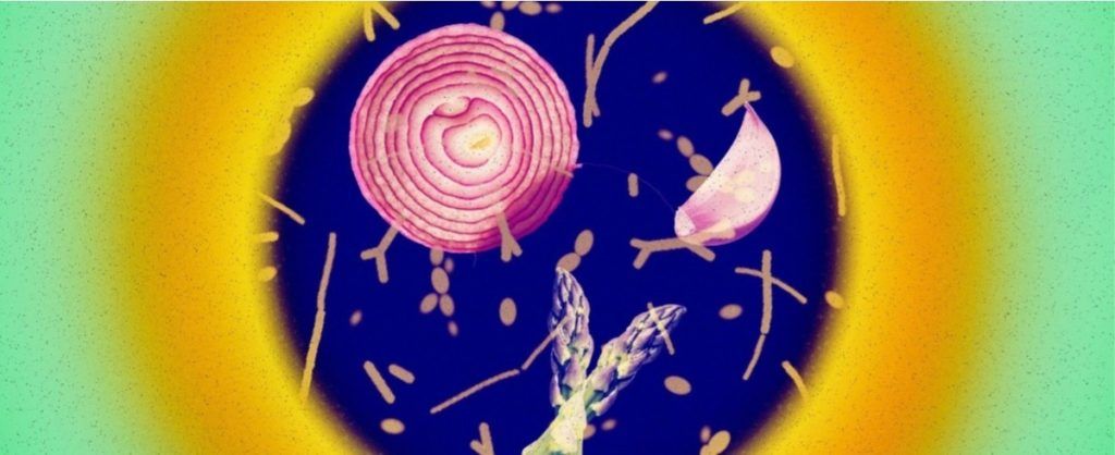 What Are Postbiotics, And Why Should You Start Using Them?