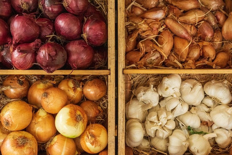Postbiotics