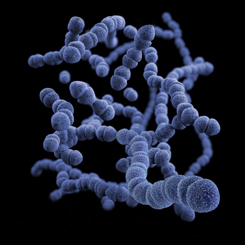 what are probiotics