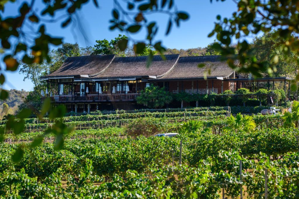 vineyards in thailand 