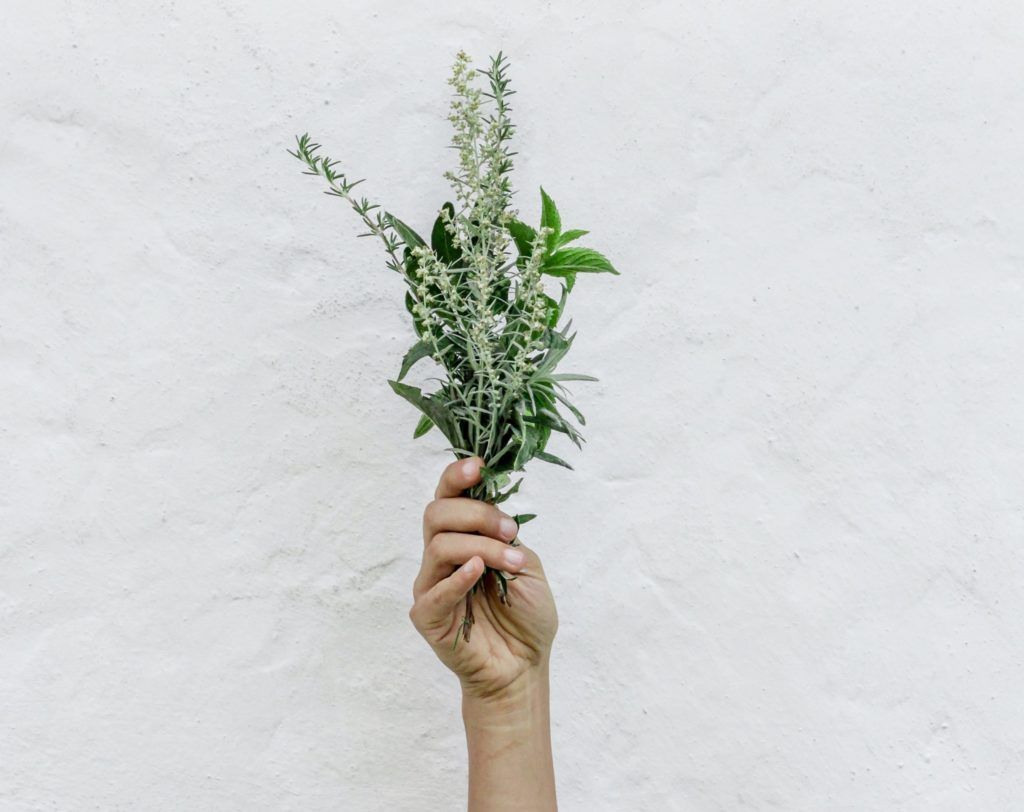 The Benefits of Using Rosemary Oil in your Haircare Routine