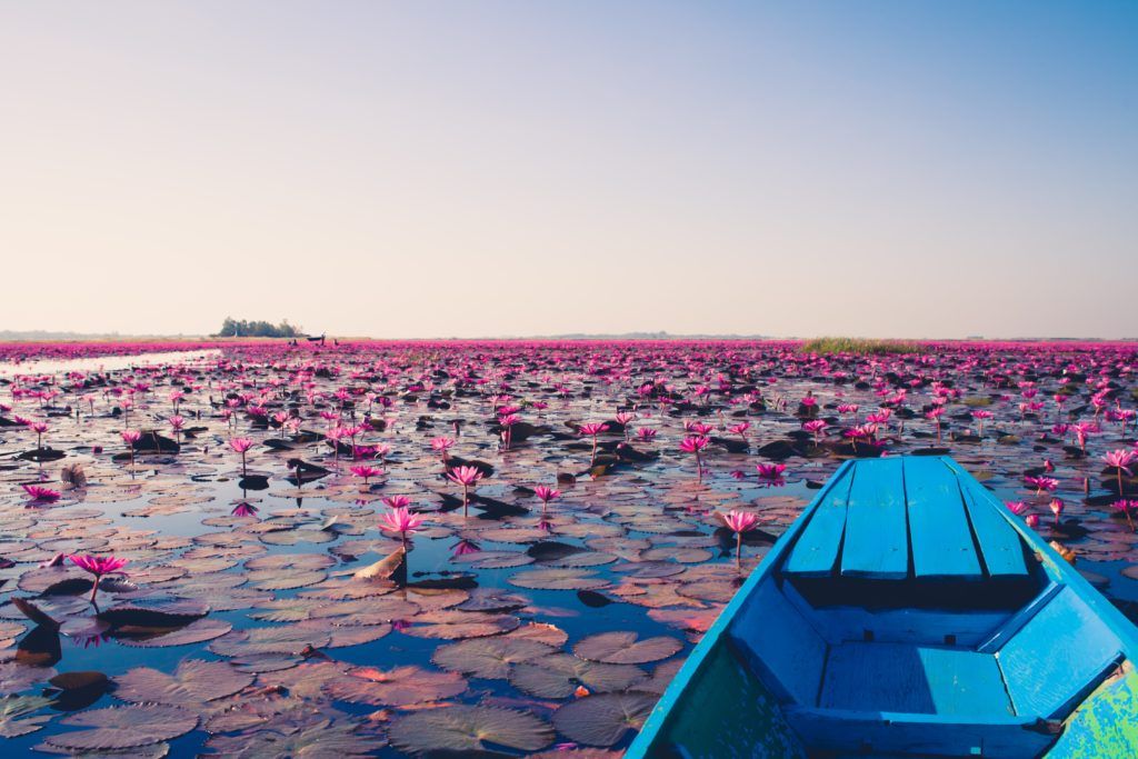 The MICHELIN Guide Expands into Isan for its Thailand Selection