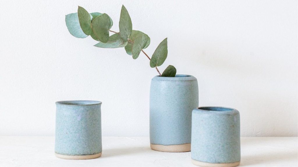 The Many Surprising Health Benefits of Eucalyptus