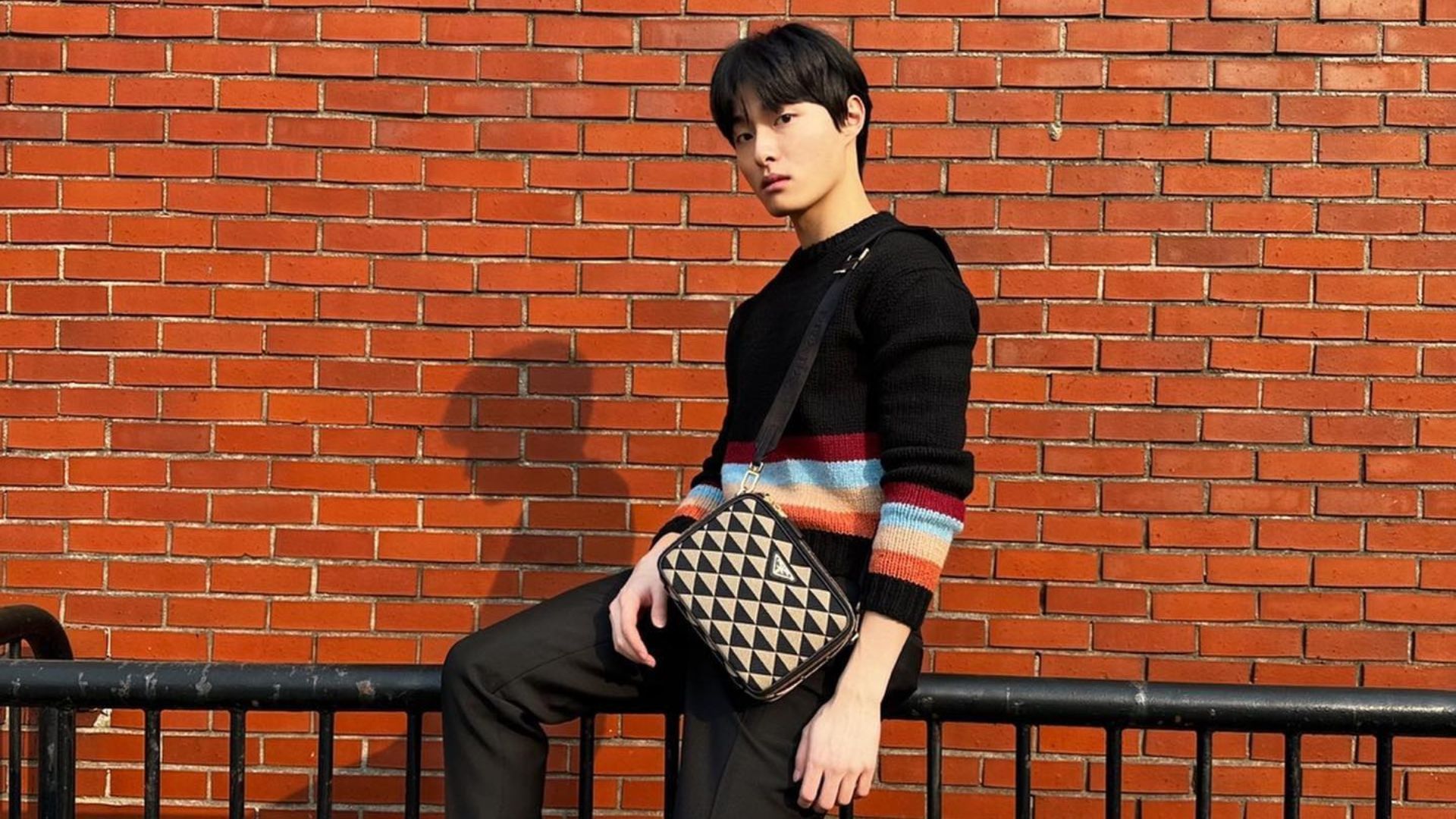 Korean celebrities represent luxury fashion brands, and fans take notice